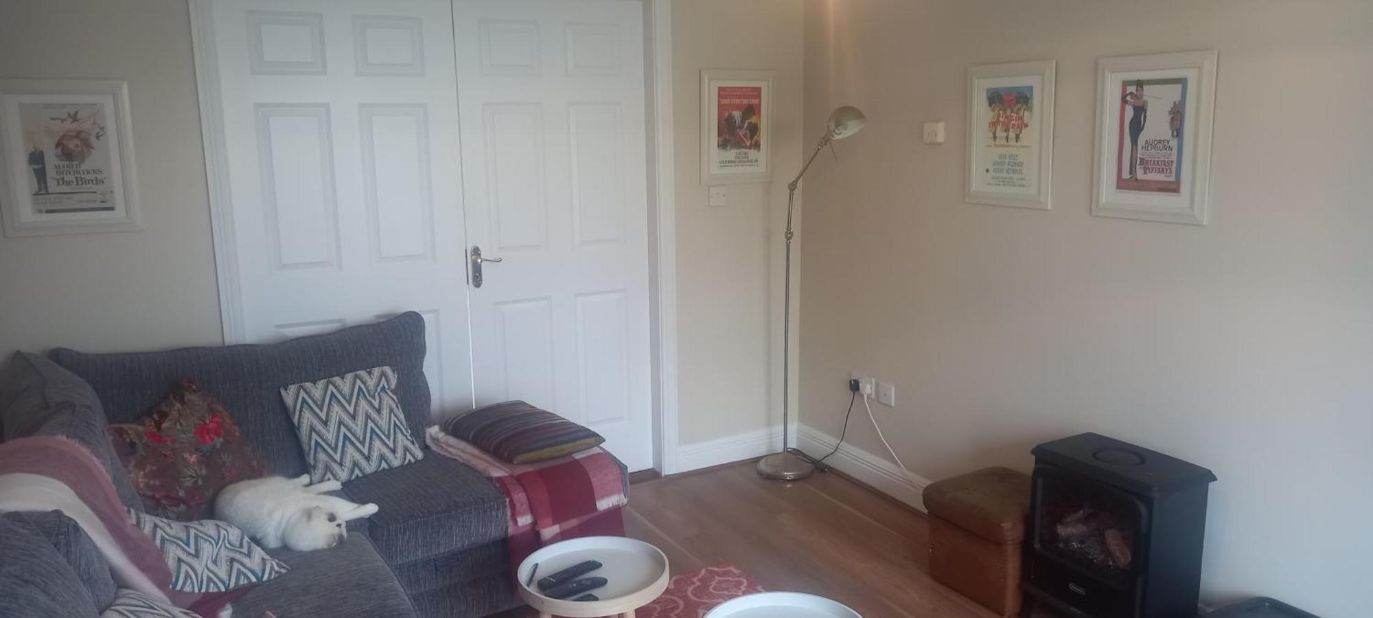 1 Cartrun Breac N39D7H6 Opposite Longford Rugby Club - See The Yellow Door 외부 사진